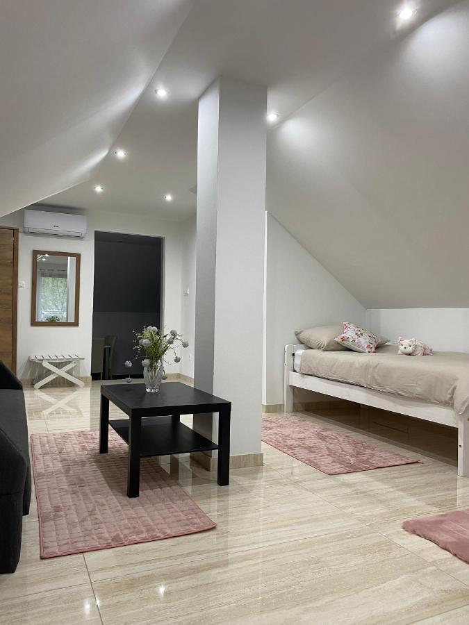 Apartma Azurre ポストイナ エクステリア 写真