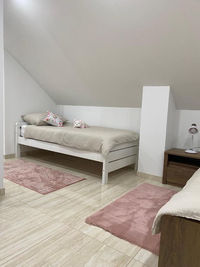 Apartma Azurre ポストイナ エクステリア 写真
