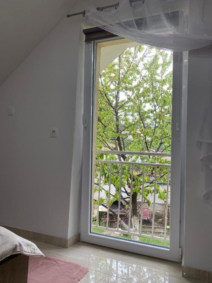 Apartma Azurre ポストイナ エクステリア 写真